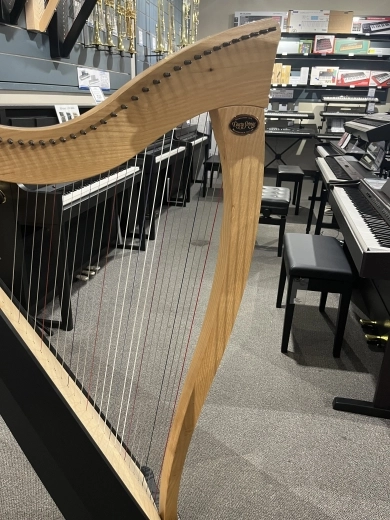 Dusty Strings - RAVENNA 34 FULL 2